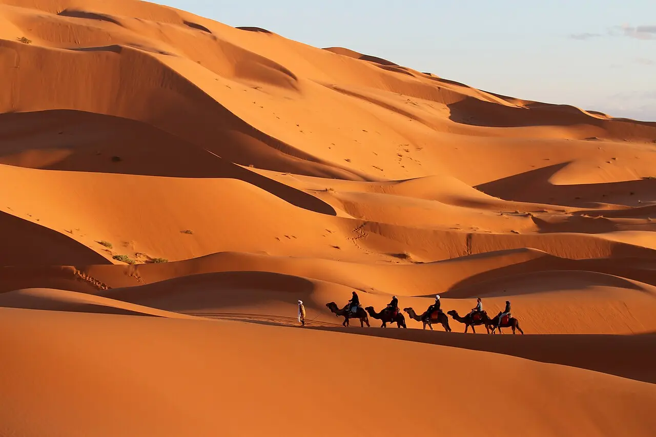 قافلة جمال في كثبان الصحراء المغربية